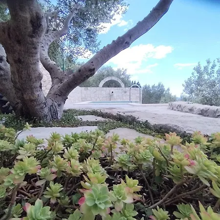 Pina In Makarska, Private Pool Villa