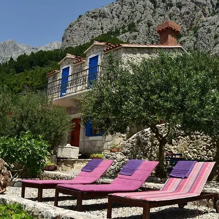 Willa Pina In Makarska, Private Pool *