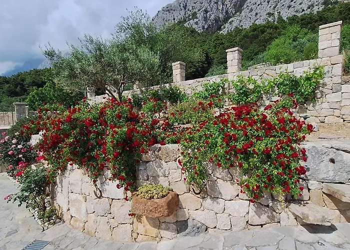 Villa Pina In Makarska, Private Pool