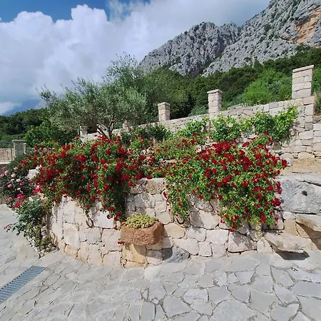 Villa Pina In Makarska, Private Pool