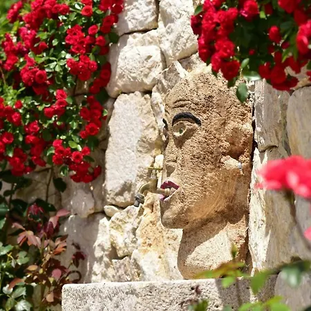 Pina In Makarska, Private Pool